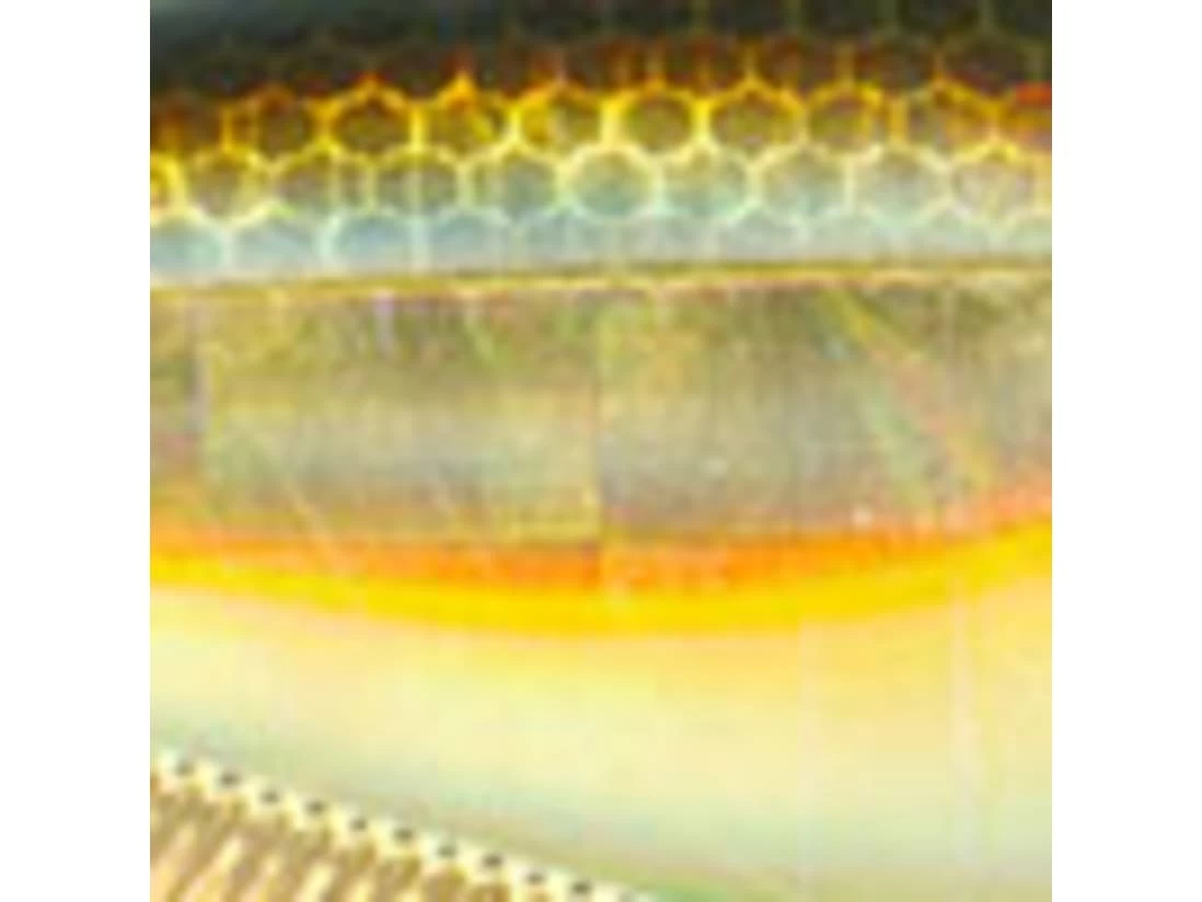 Yo-Zuri 3DB Vibe 1 Yo-Zuri 3DB Vibe