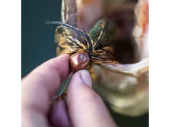 Googan Squad Juicee Jig -Fishing Products Store b35i5494 1 1