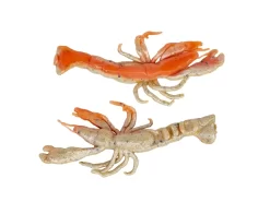 Berkley Gulp! Ghost Shrimp -Fishing Products Store berkley natuarlwithsparkle gulpghostshrimp 10 30 brk 10003c
