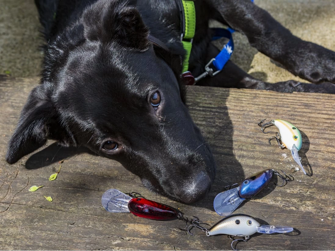 Strike King Pro Model 3XD 2 Strike King Pro Model 3XD - Image 2