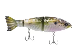 Googan Squad Limited Edition Jekyll Contender 6 Googan Squad Limited Edition Jekyll Contender -Fishing Products Store googansquad shimmershad contender 10 01 ggs 10016h