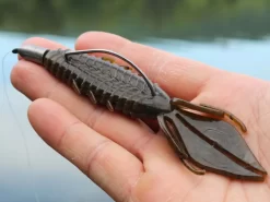 X Zone Lures Pro Series Adrenaline Bug -Fishing Products Store lifestyle adrenaline andrewnordbye 01