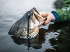 Googan Baits Blazin' Worm -Fishing Products Store lifestyle blazinworm googanbaits bt6a0442