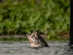 Googan Baits Green Series Weight Stops -Fishing Products Store lifestyle googanbaitsterminal stoppers fish 01