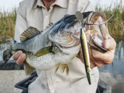 Z-Man Hellraizer -Fishing Products Store lifestyle hellraizer zman fishmouth 1