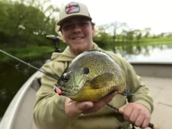 Z-Man Larvaz -Fishing Products Store lifestyle larvaz zman fishingshot 1