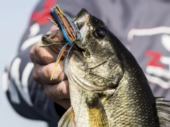 Z-Man Midwest Finesse Swim Jig -Fishing Products Store lifestyle midwestfinesseswimjig zman bluegill 2