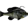 Savage Gear Pulse Tail RTF Bluegill
