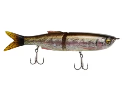 Savage Gear 3D Glide Swimmer -Fishing Products Store savagegear 3dglideswimmer ghosttrout 10 01 svg 10070d