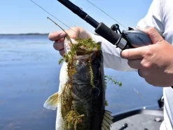 Fitzgerald Fishing VLD 10 Baitcasting Reel -Fishing Products Store vldlifestyle